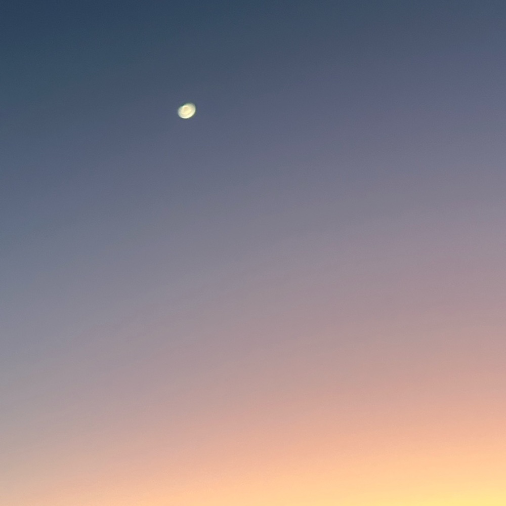 Meet your Posher, Gracyn